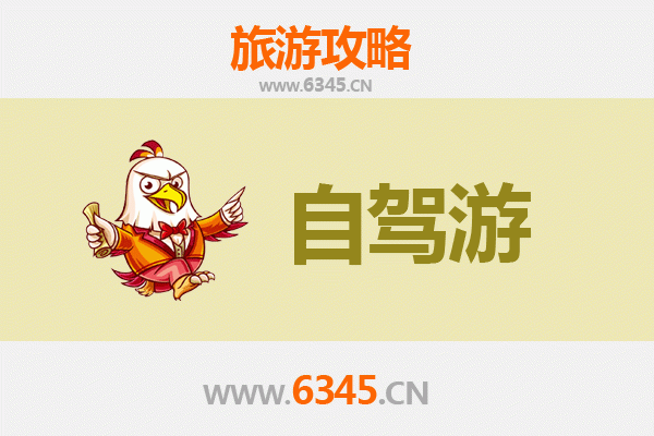 海南白沙国营白沙农场自驾游全攻略：雨林茶香与黎乡风情之旅