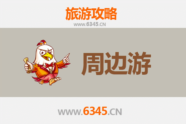 海南白沙农场周边深度游攻略：热带风情与黎族文化体验之旅