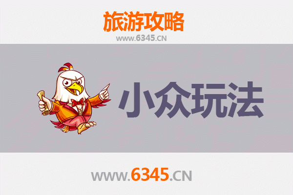 海南白沙农场隐秘玩法指南 | 探索热带雨林与黎族文化的深度体验