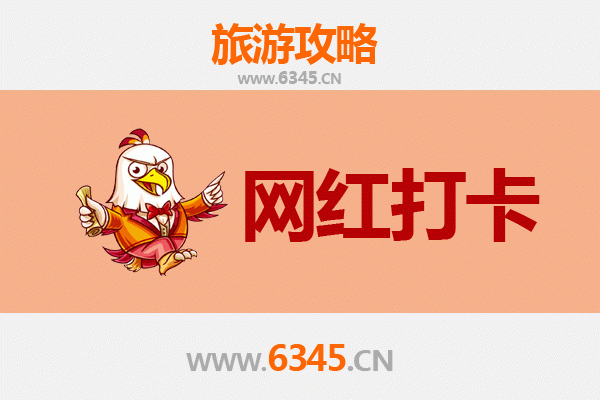 海南白沙农场：热带风情与网红打卡新地标
